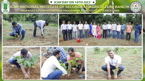 Plantation programme organised at ICAR .